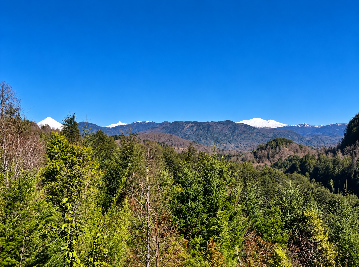 Bosques y montañas del entorno de Ko-Panqui